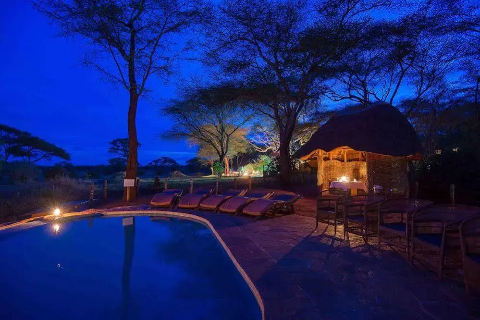 Sanctuary Swala
