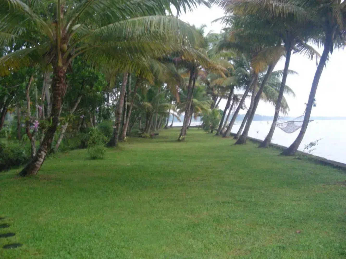 Vembanad House Boutique Back Water Homestay