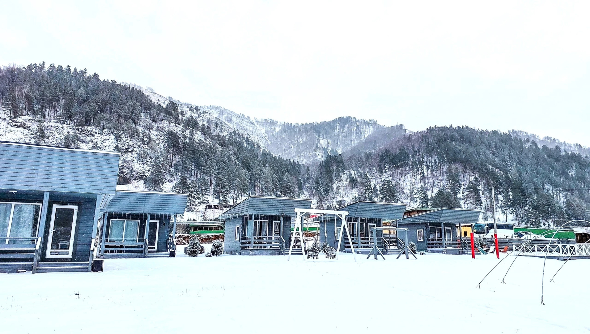 Алтай Лотос