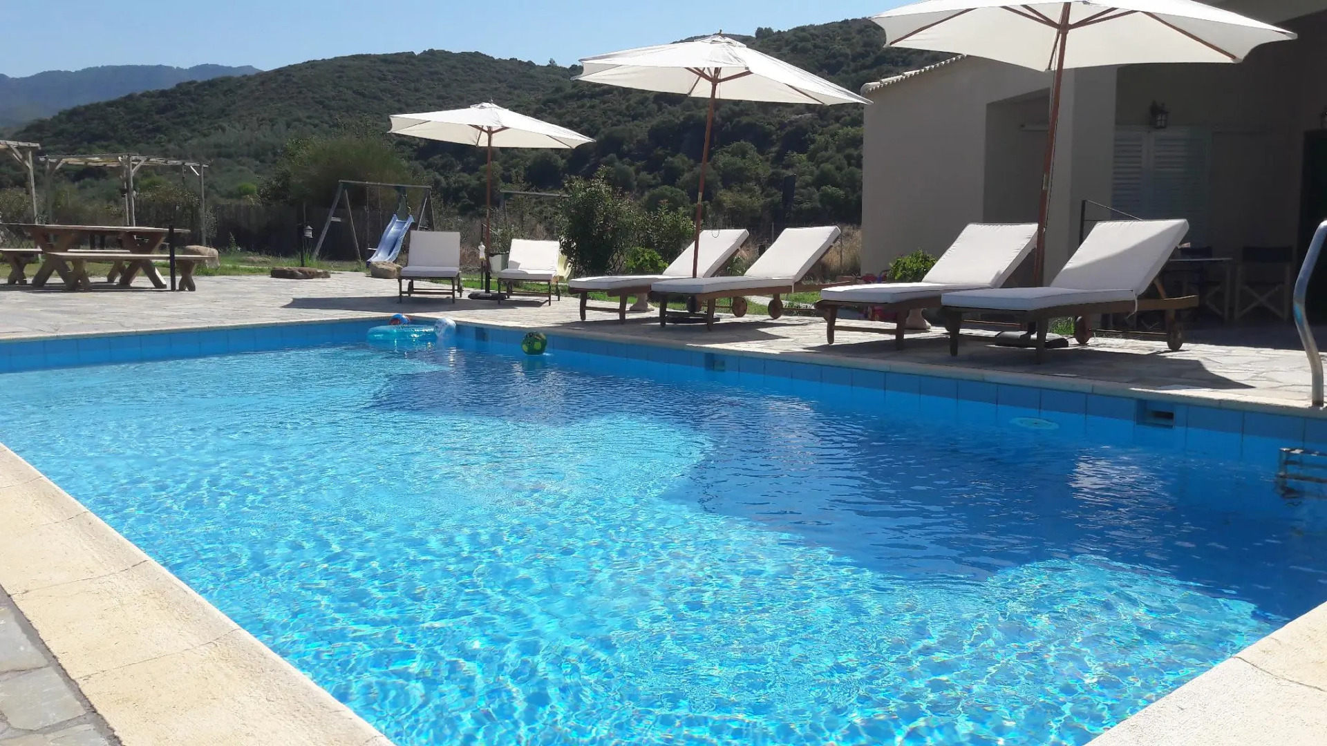 Socrates Organic Village - Wild Olive