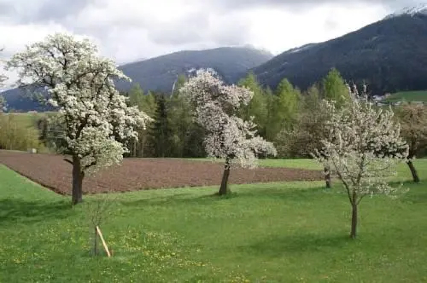 Ferienwohnungen Simon - Hauserhof