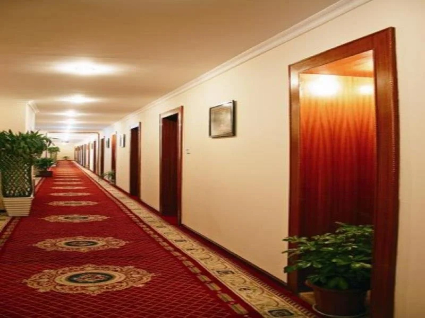 The Bog-Garden Hotel Lhasa