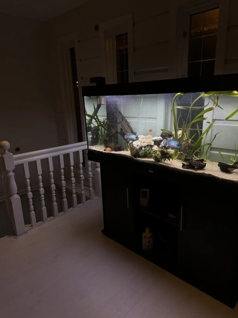 Just Like Home Bed & Spa