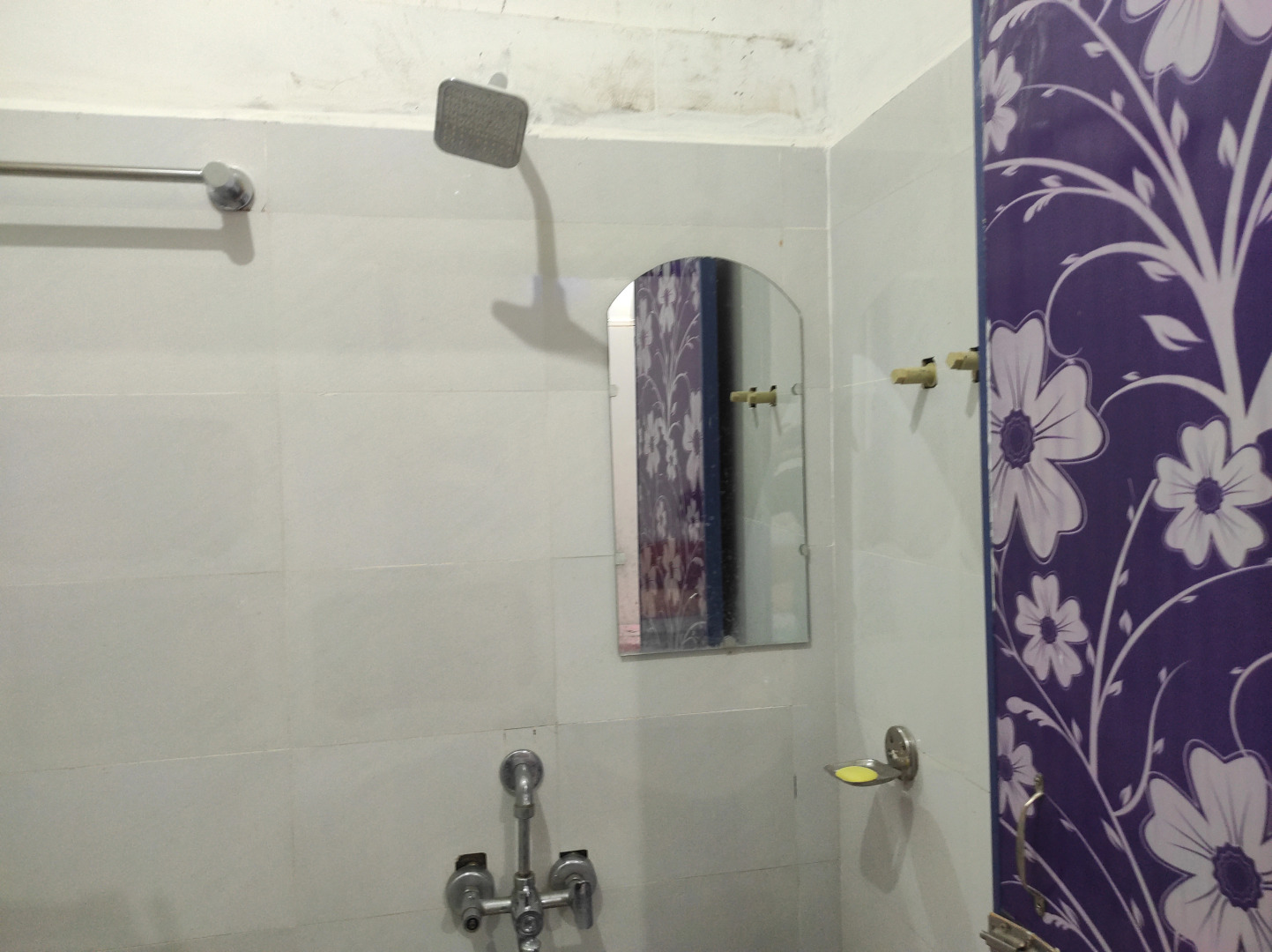 Homocation Manas Green Homestay