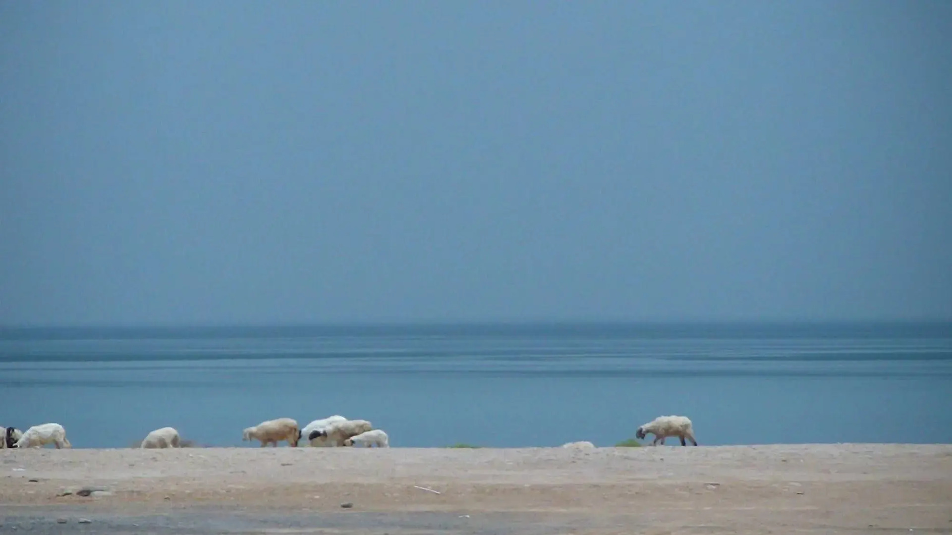 Al Basateen Hotel Apartment