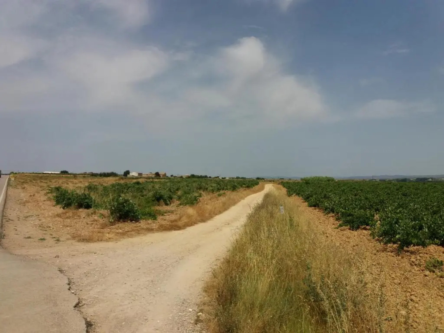 Casa Rural La Parra 1923 Requena