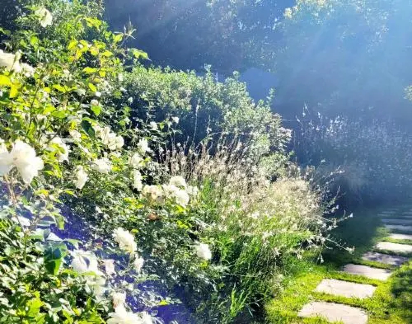 Grace Upon Grace Guest Suites