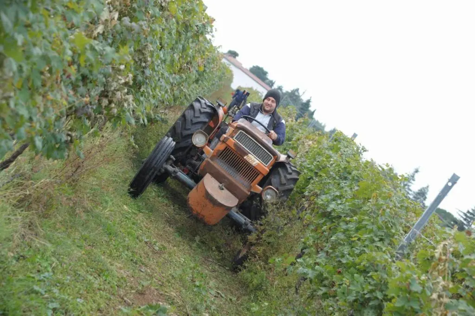 Agriturismo Sol De Montalto