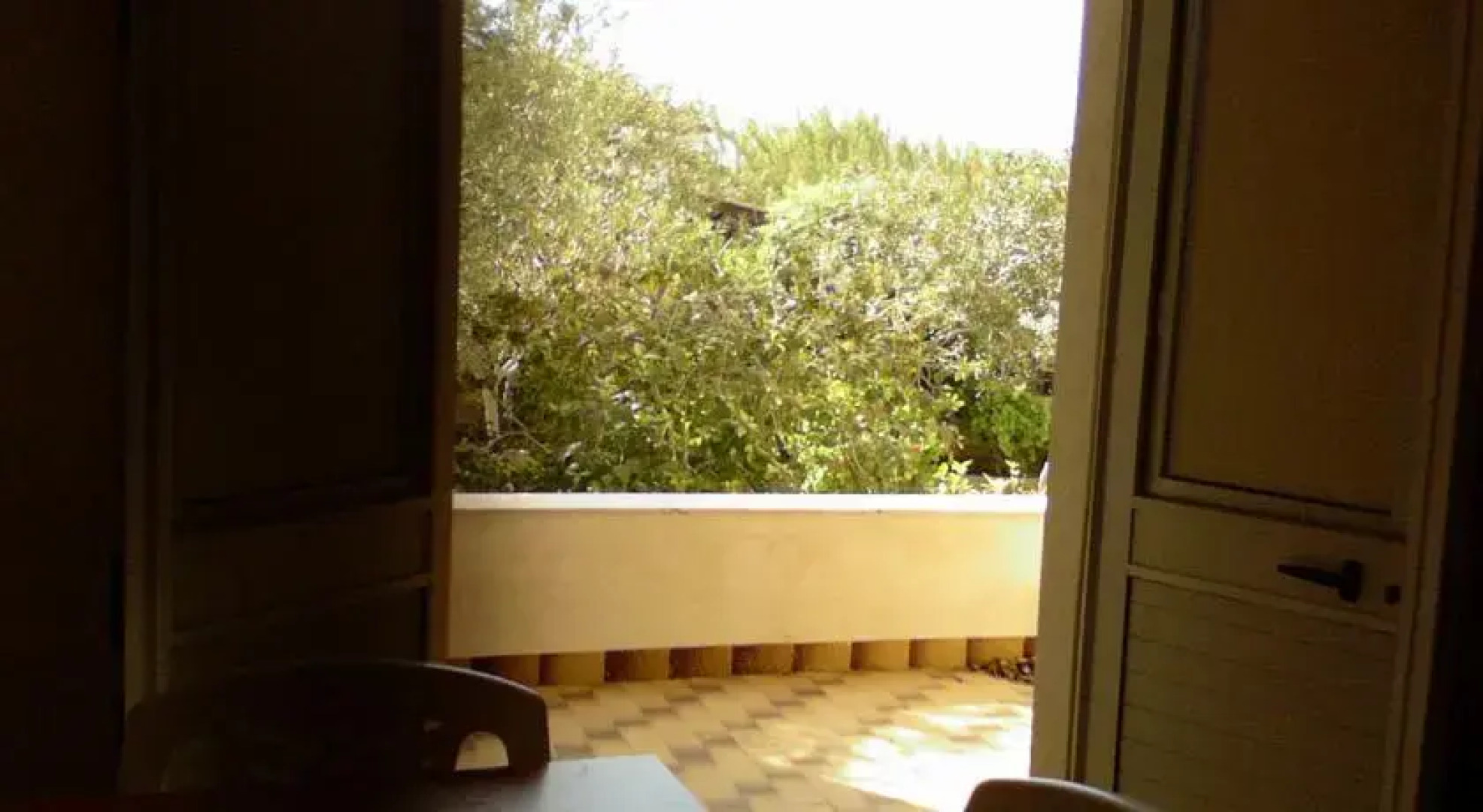 Frescura Tra i Carrubi