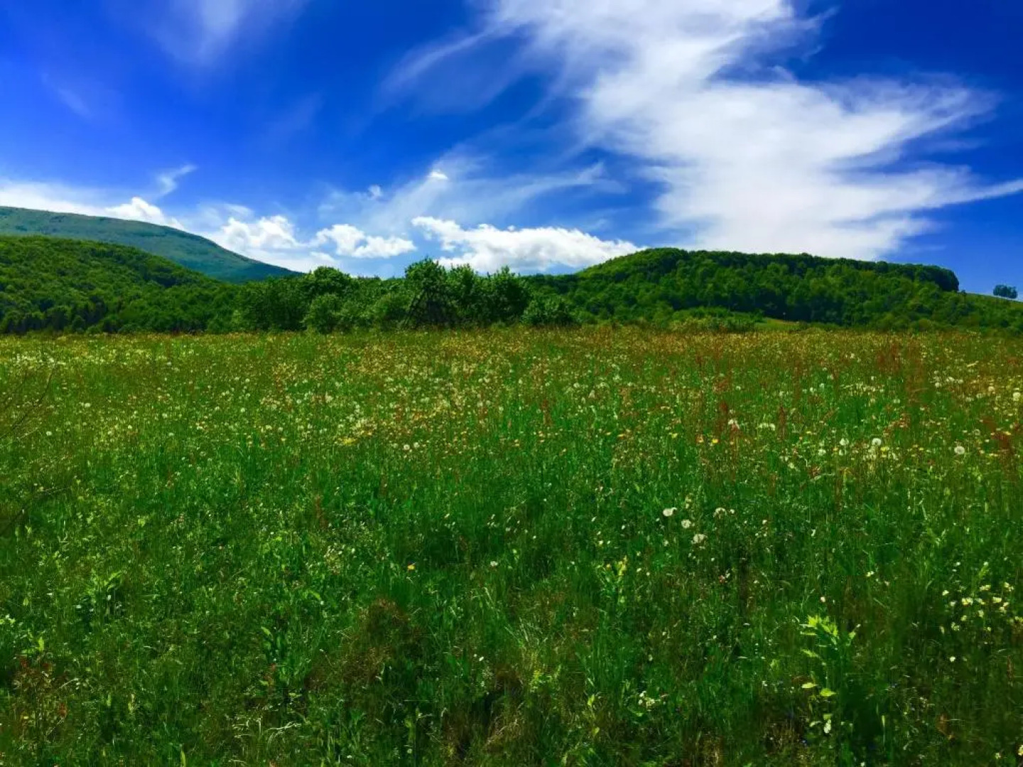 Minihotel Zolotoe Runo