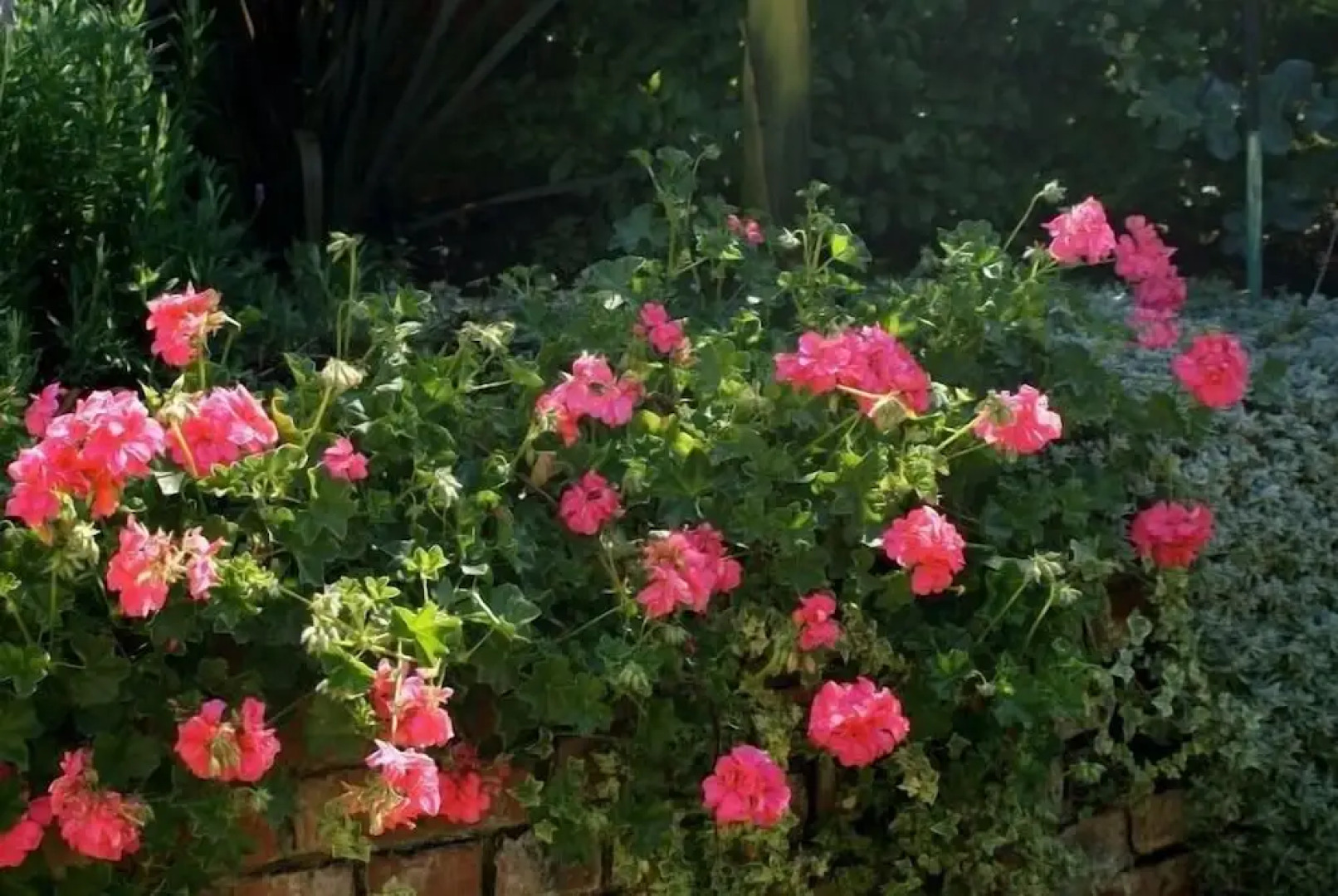 Kingsmead Guest House