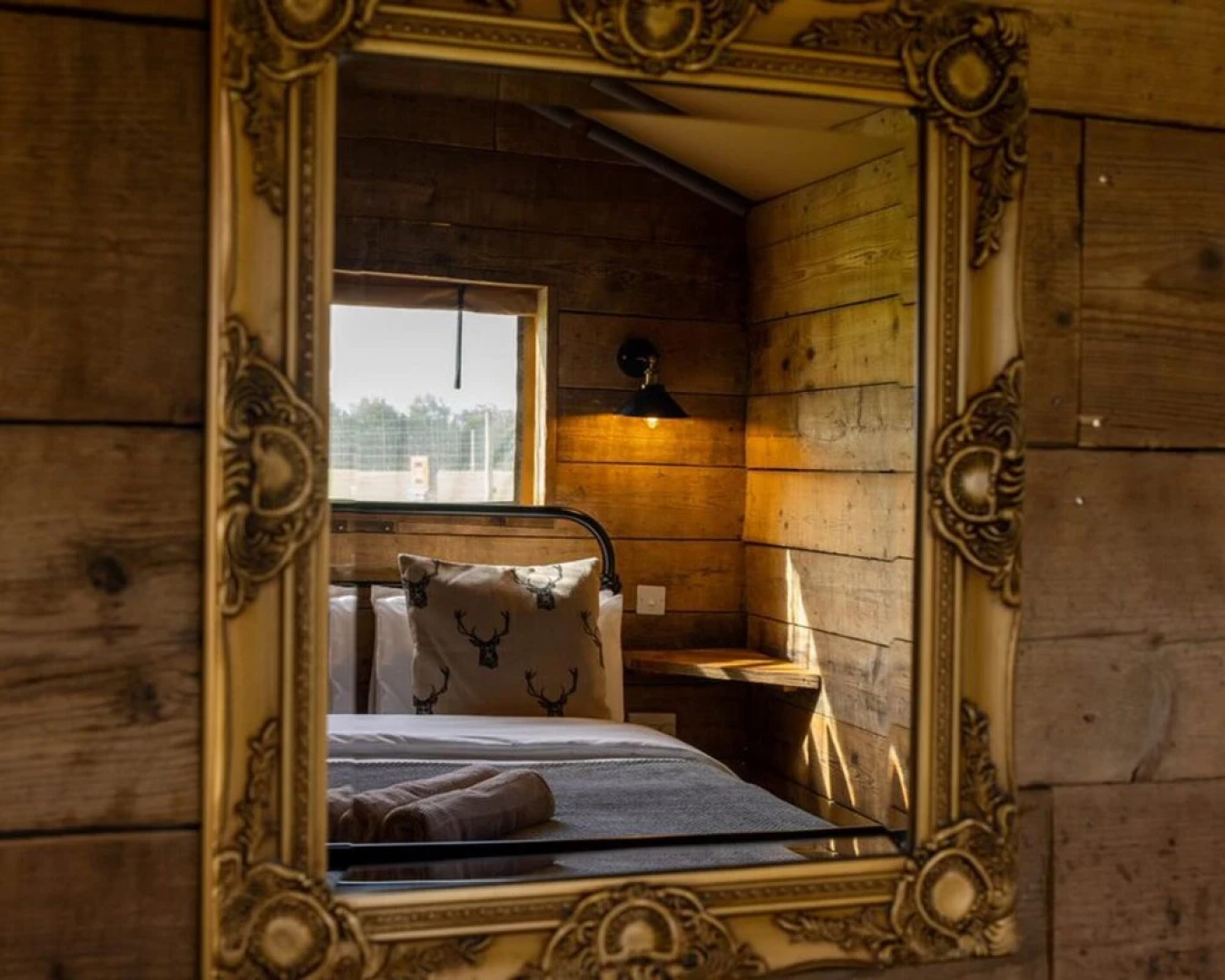 Luxury Safari Lodge Surrounded by Deer!! 'fallow'