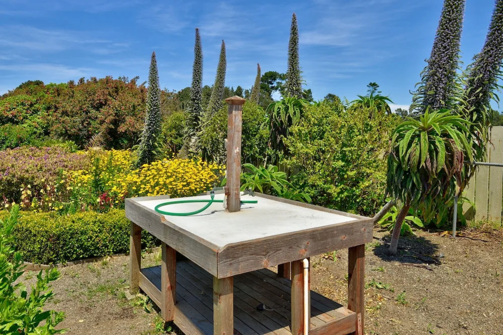 Surf Motel and Gardens