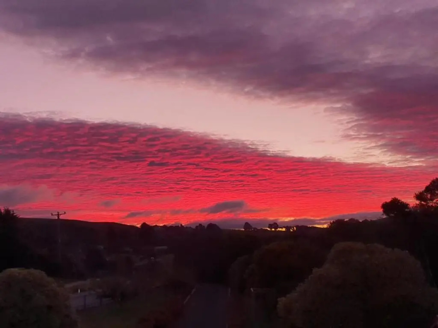 Goat Island Bungalow