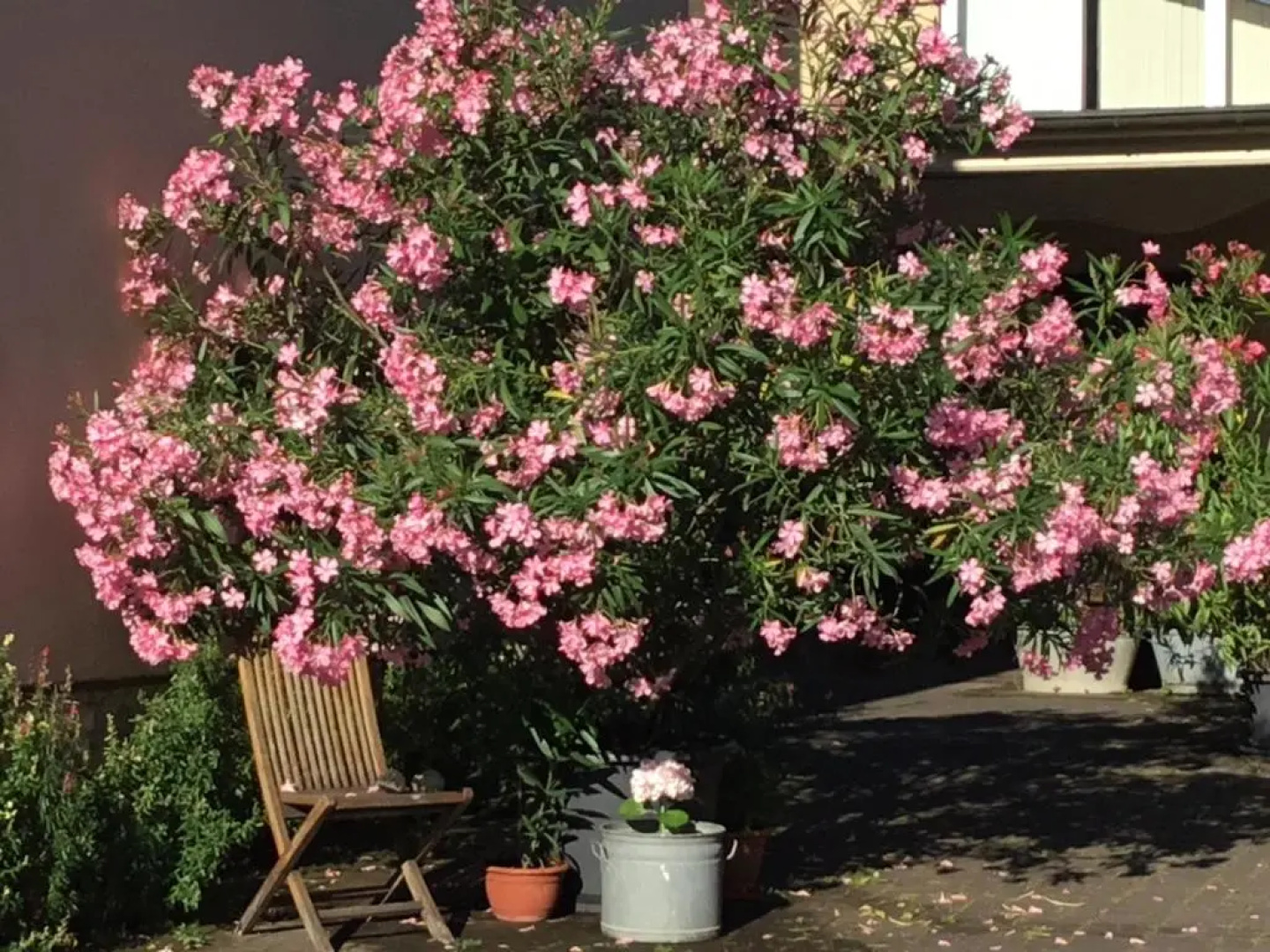 Ferienwohnungen In de goldisch Luft