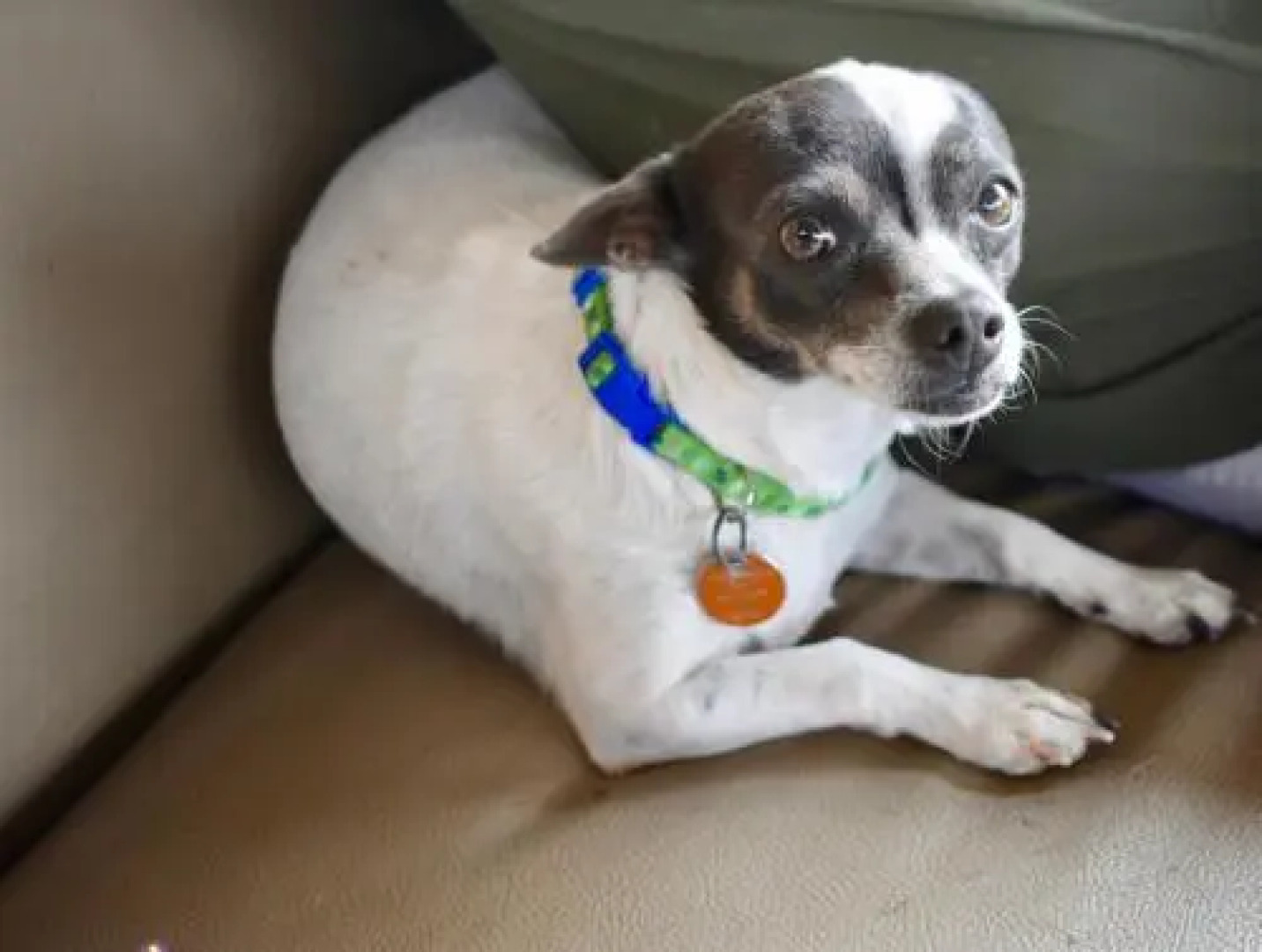 Tiny House Dreamcatcher