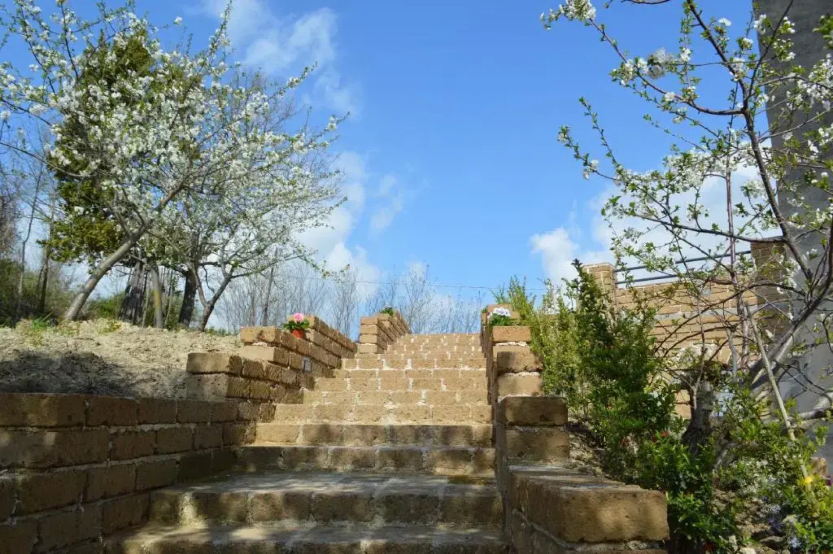 Santa Maria Degli Angeli C Ospitalità - Hostel