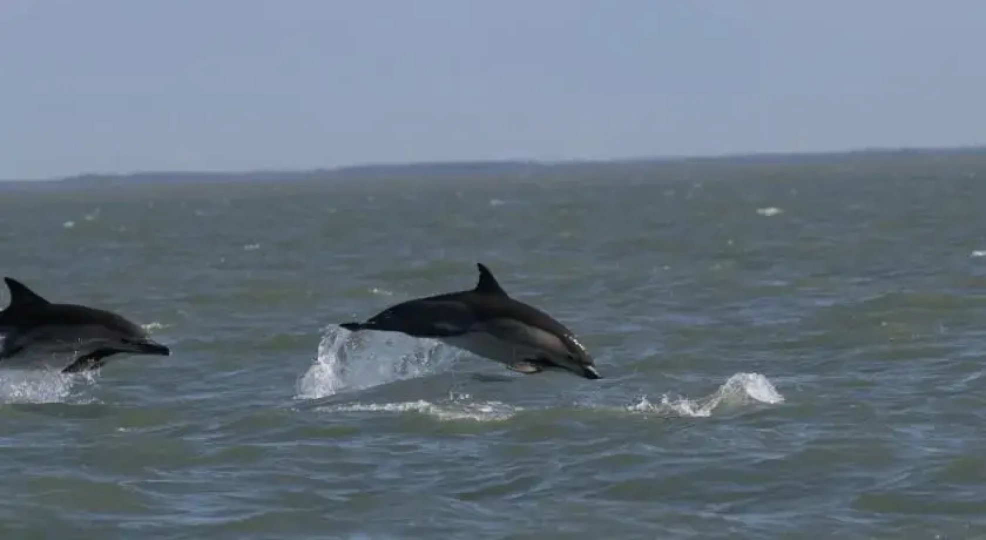 Holiday Home in Grigoleti