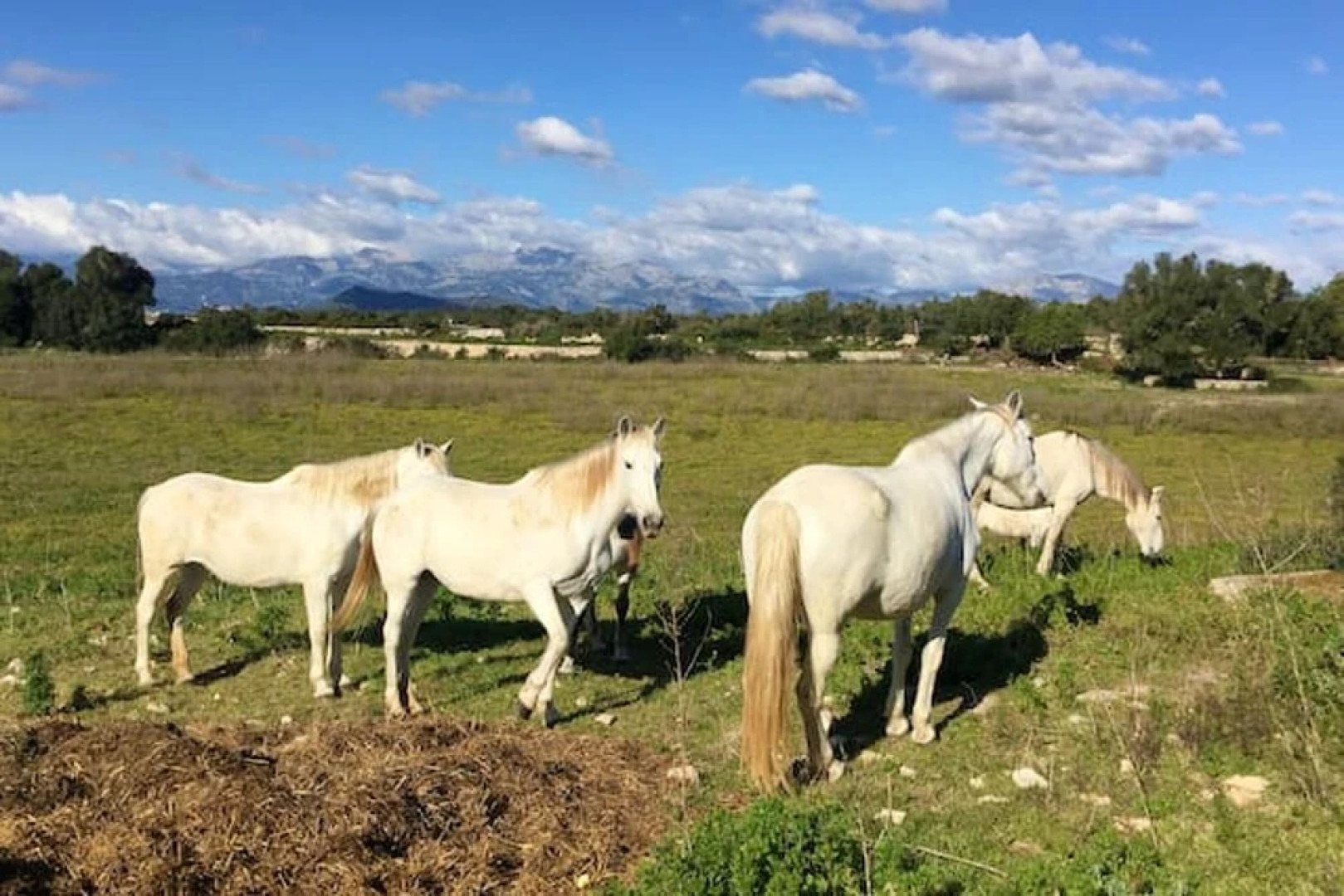 House With one Bedroom in Llubí, With Wonderful Mountain View, Shared Pool, Enclosed Garden Near the Beach