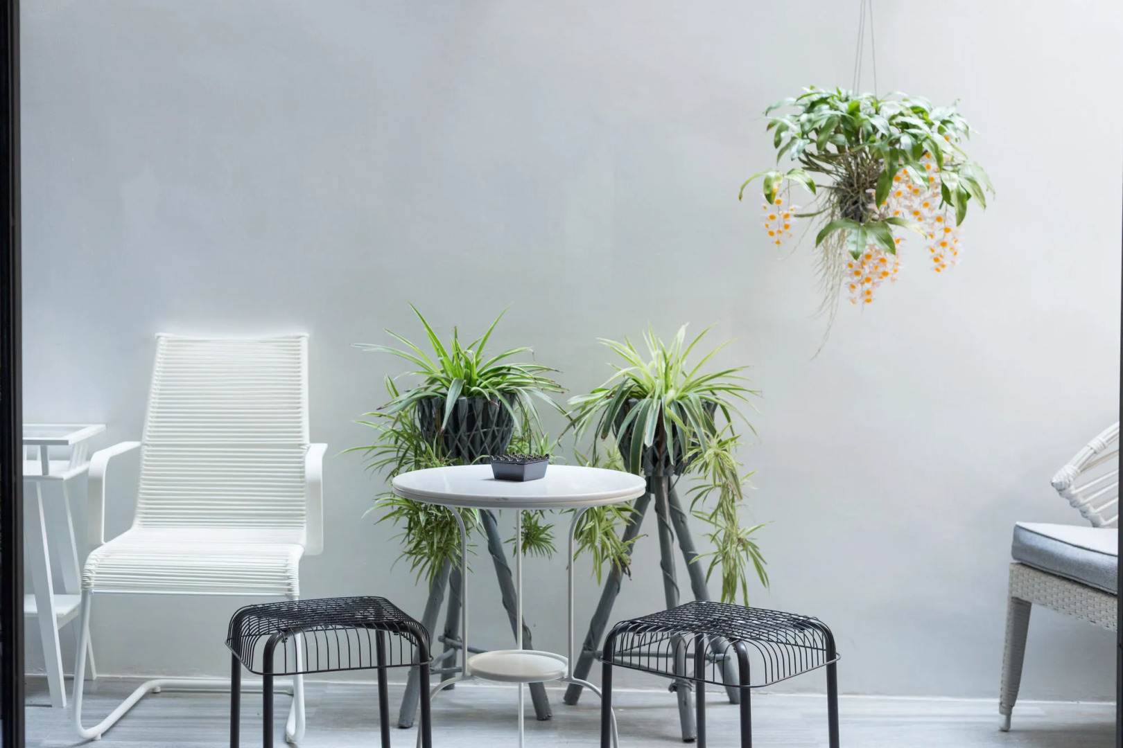 White Ivory Bed & Breakfast