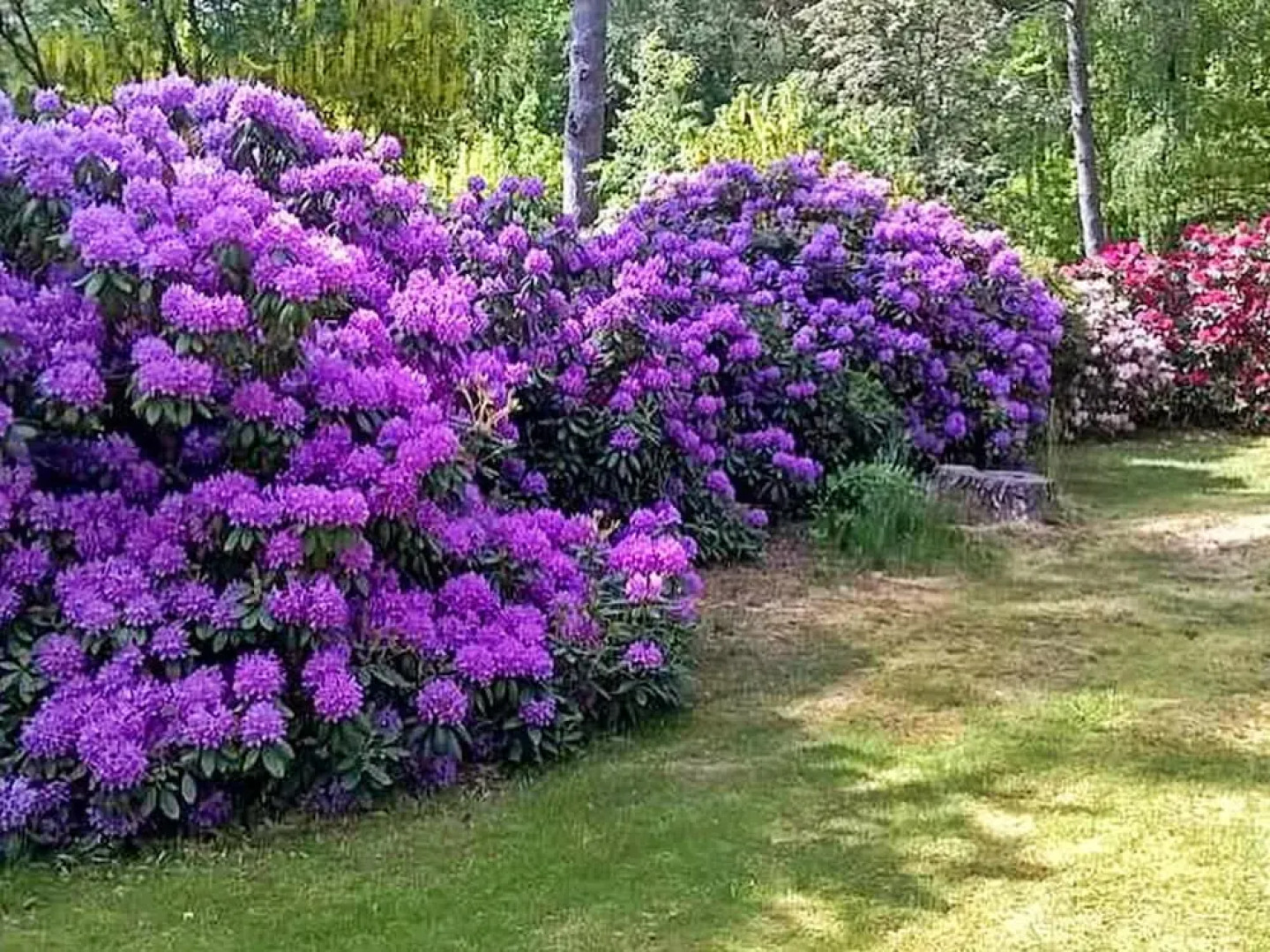 Stylish Holiday House in Hovedstaden With Terrace