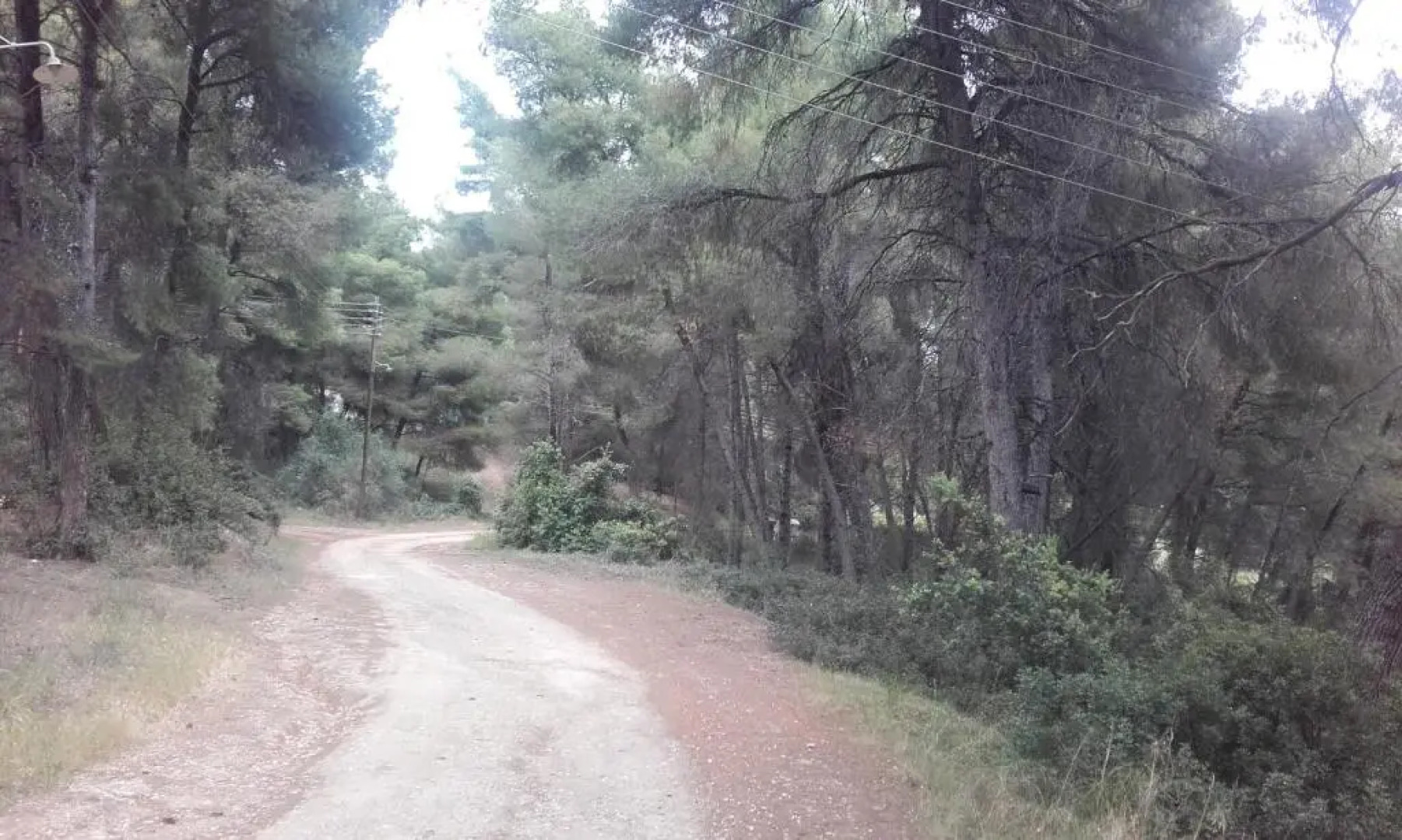 Sithonia Alekos Luxury Experience