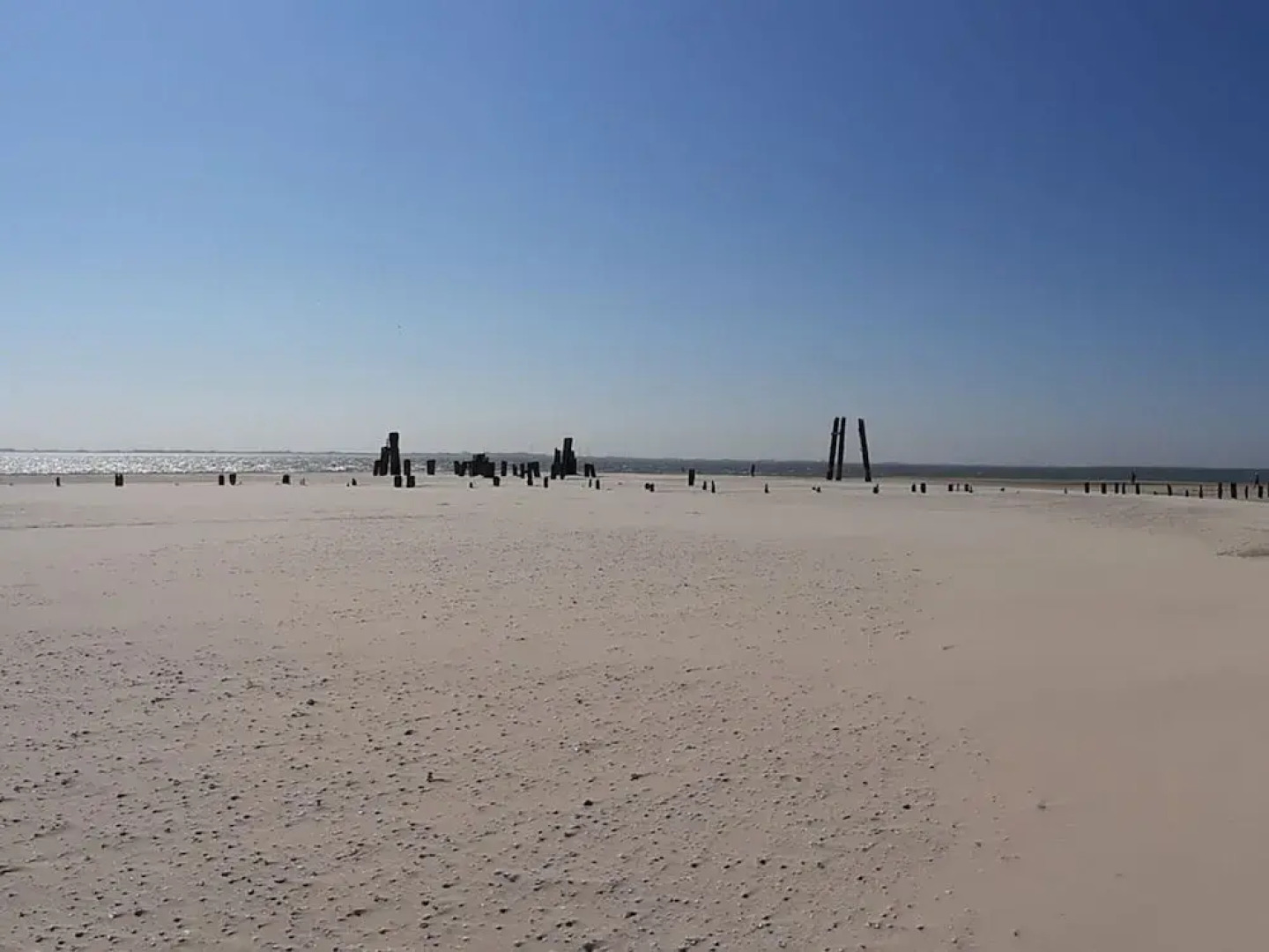 Holiday Apartment Villa in the Park