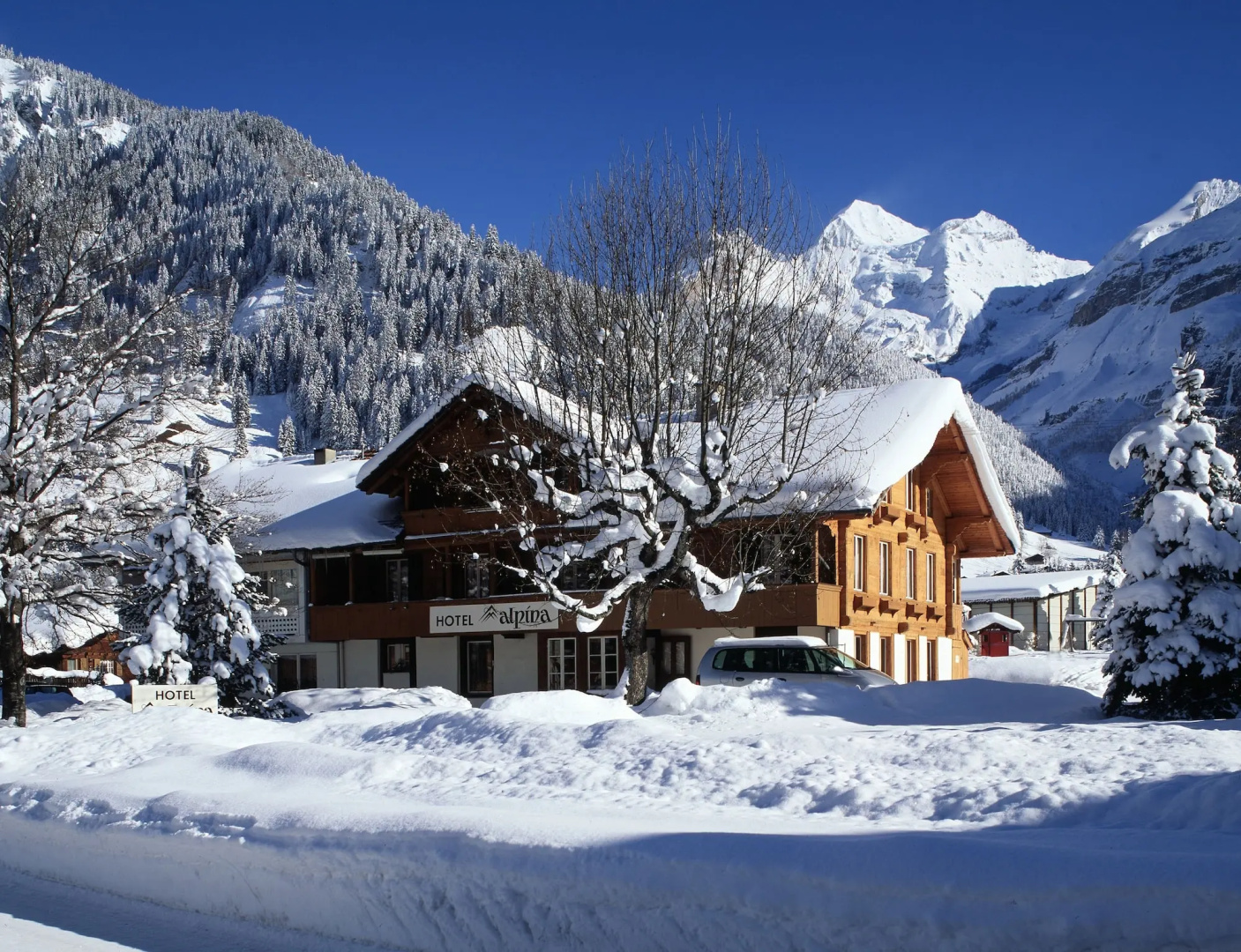 Hotel Alpina