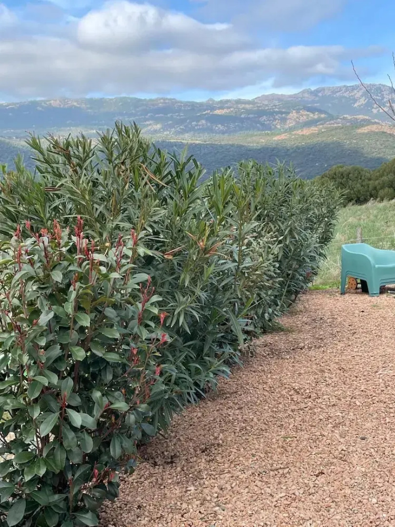 Rsidence Patios di Pruno