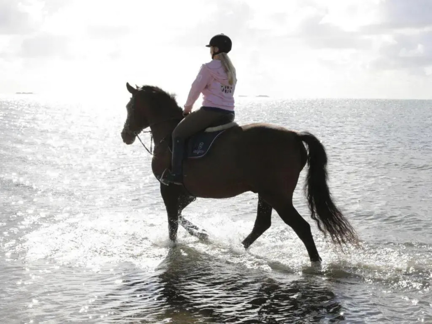 Wohnung-Felsenauster-im-Haus-Muschelgarten