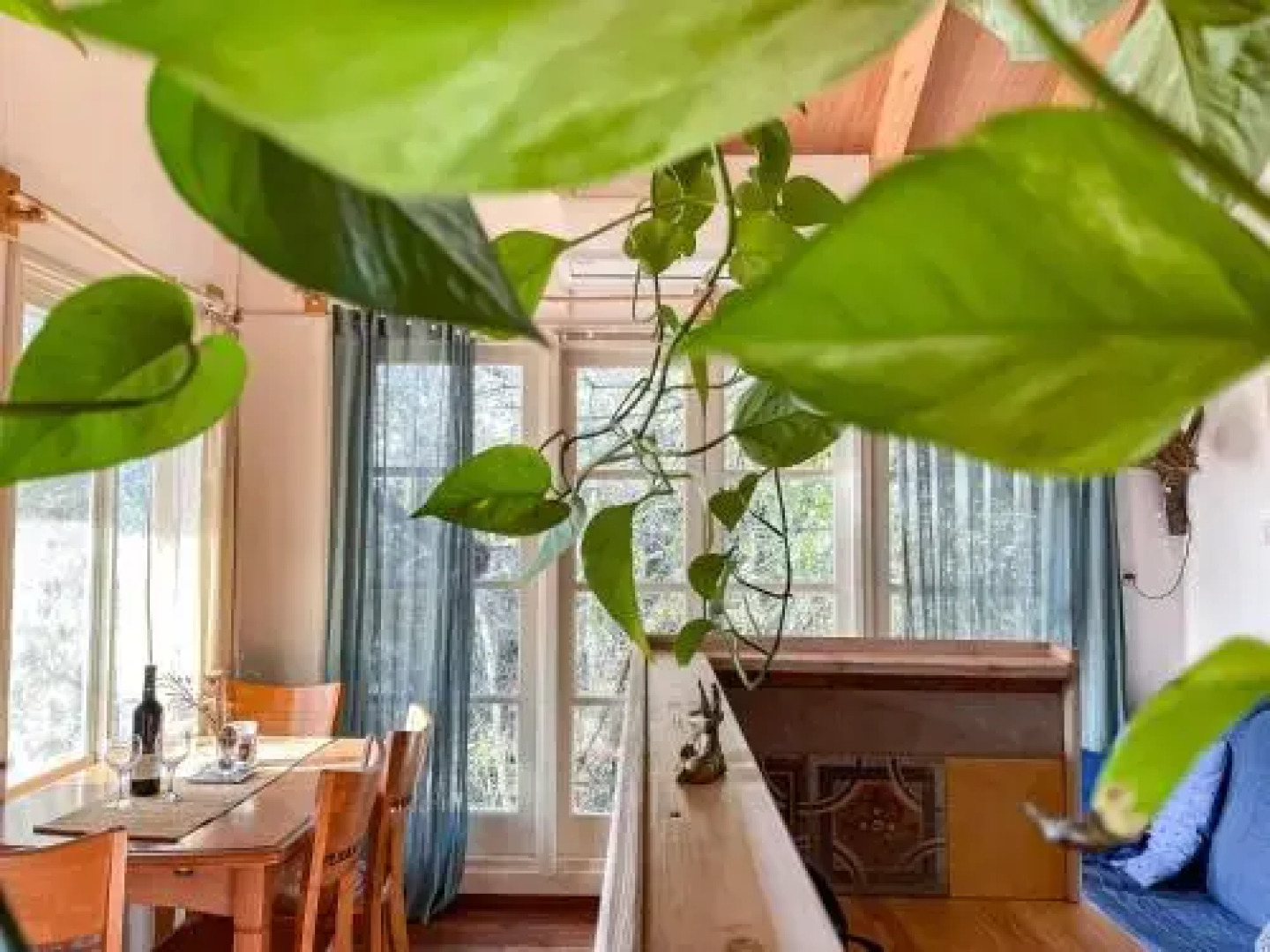 Blue House In The Woods- Amirim