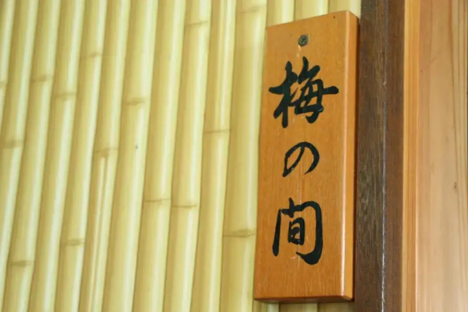 Ryokan Hayamizuso