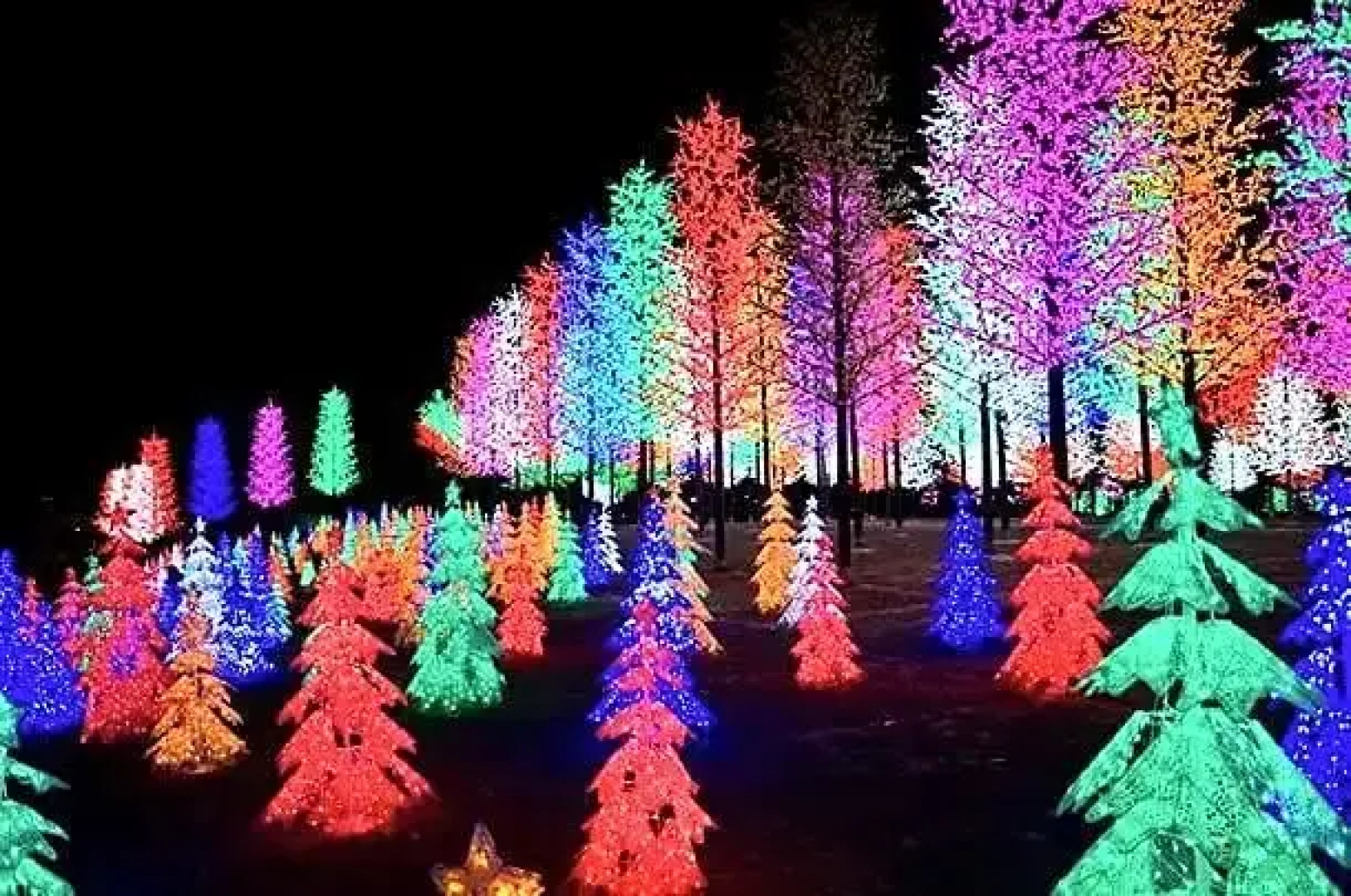 Shah Alam Business Hotel