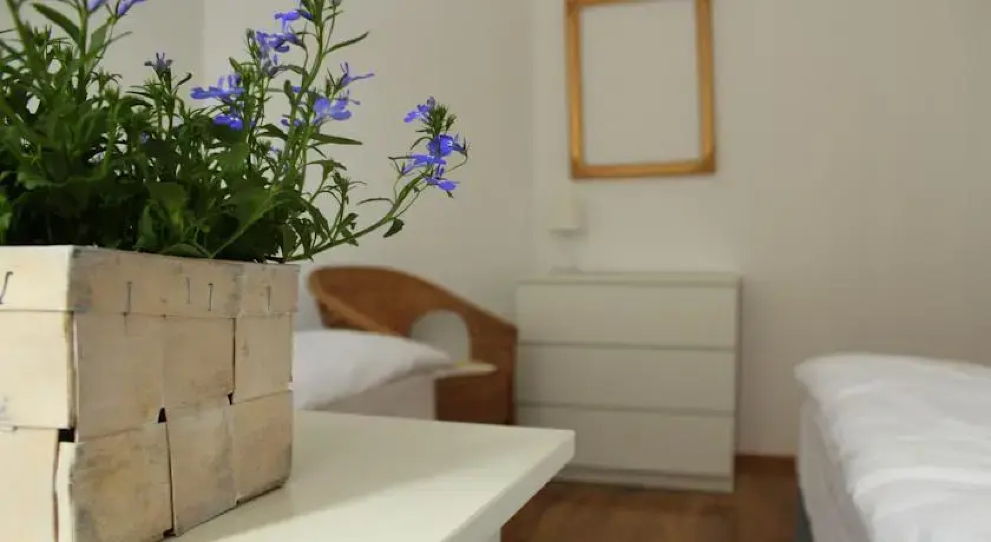 Sisters Lodge Hostel