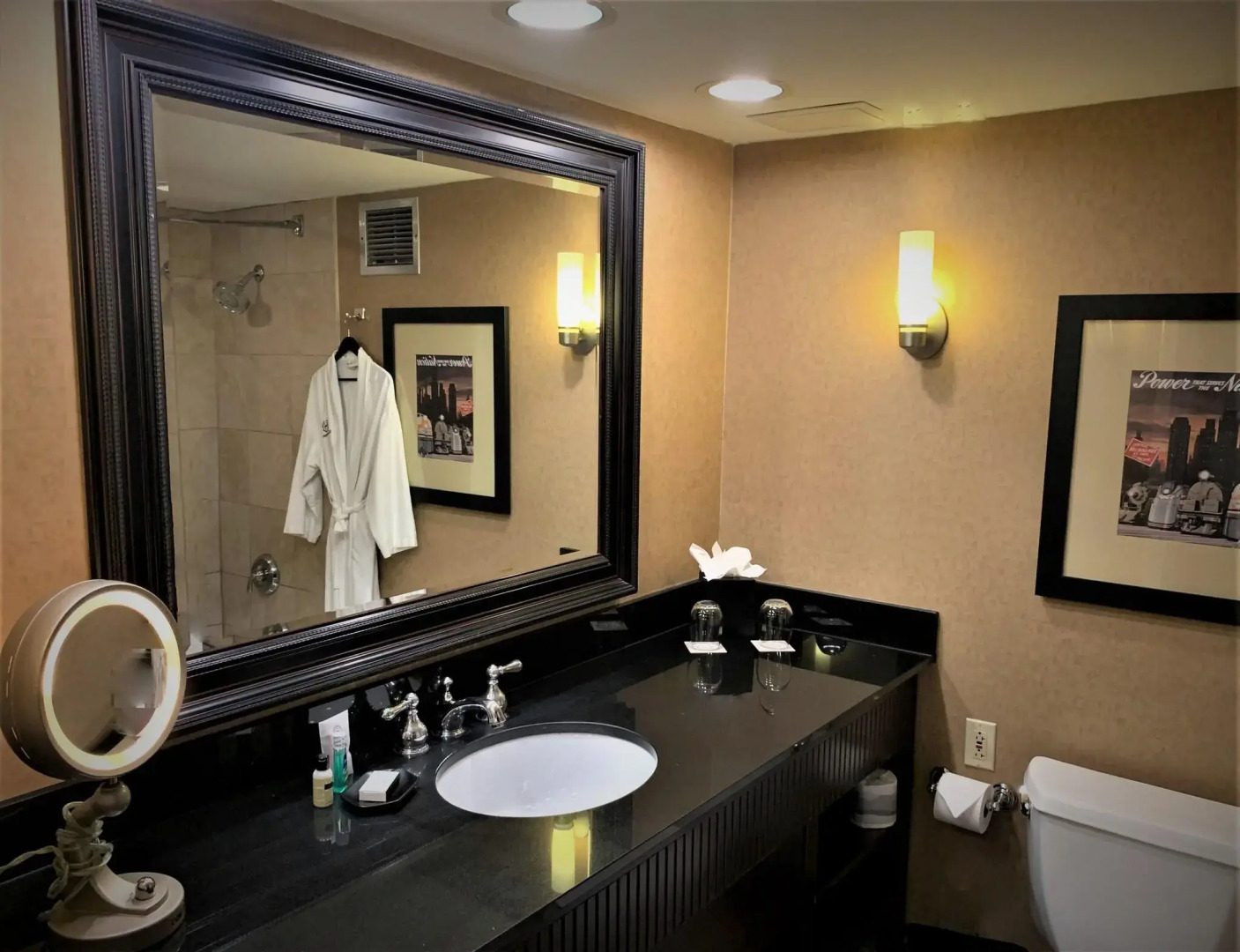 Sheraton Lisle Naperville Hotel