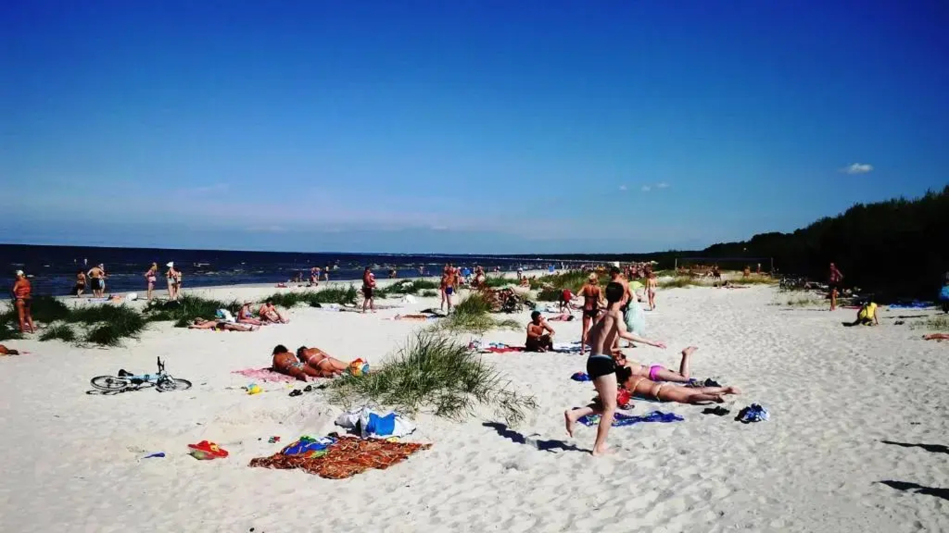 Коттедж у моря. Гостевой дом Melon