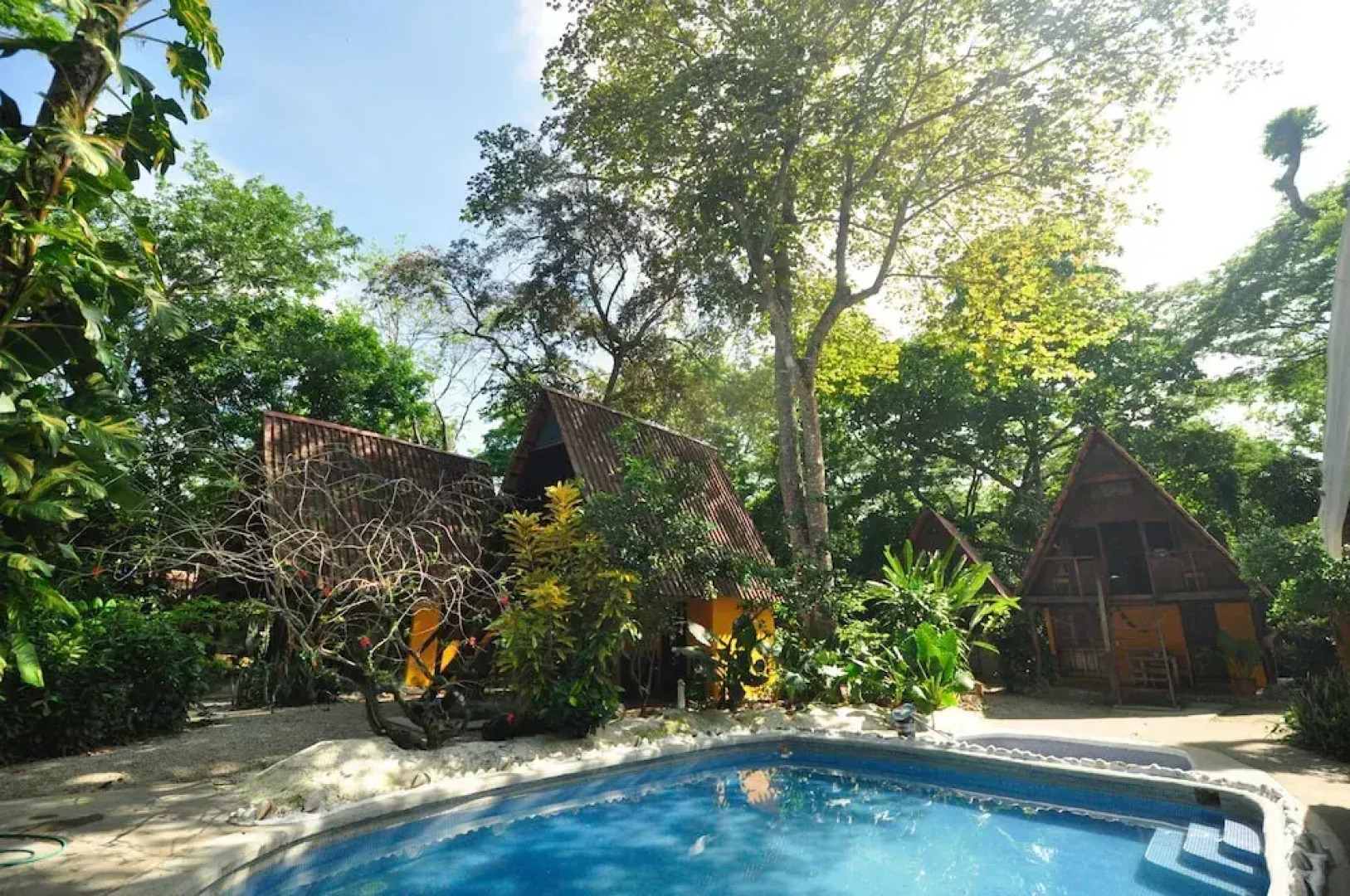 The Howler Monkey Hotel