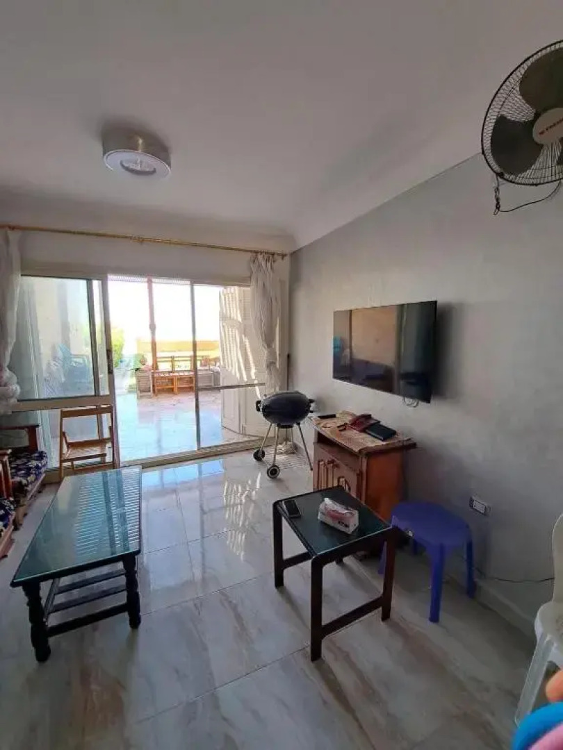 الاسكندرية