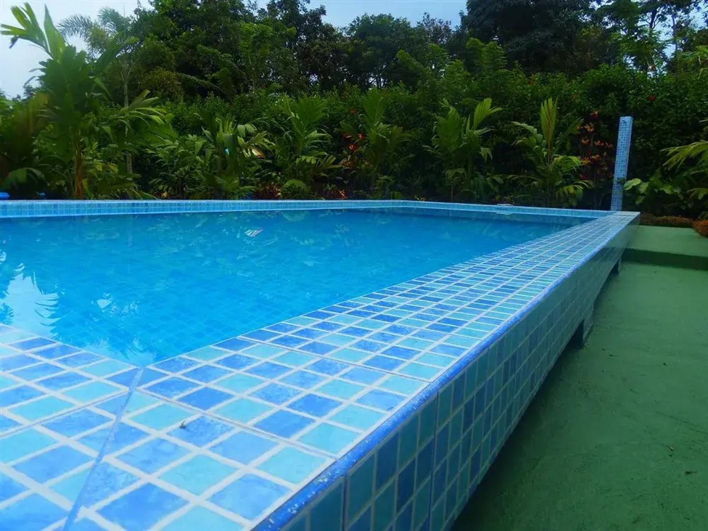 Hotel Heliconias Nature Inn & Hot Springs