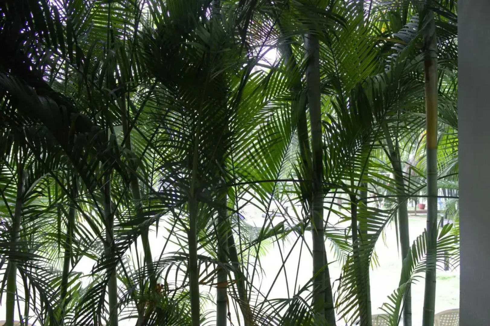 Mrugavani Resort and Spa