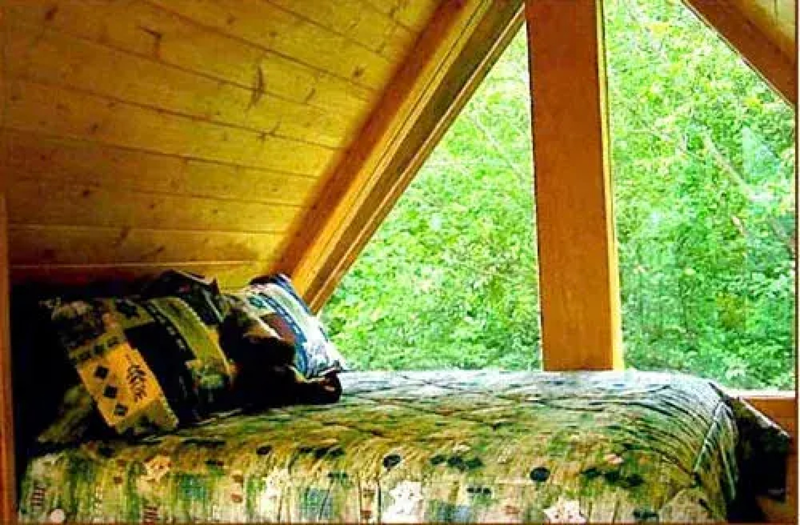 Alaska Adventure Cabins