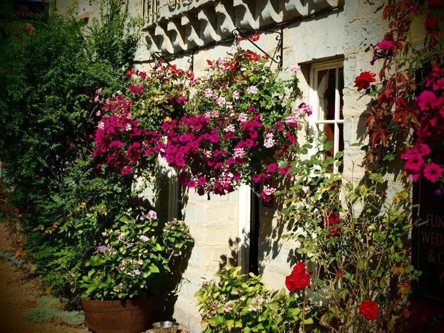 The Greyhound Inn Taunton