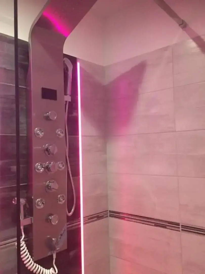 Vulkan Wellness Panzio