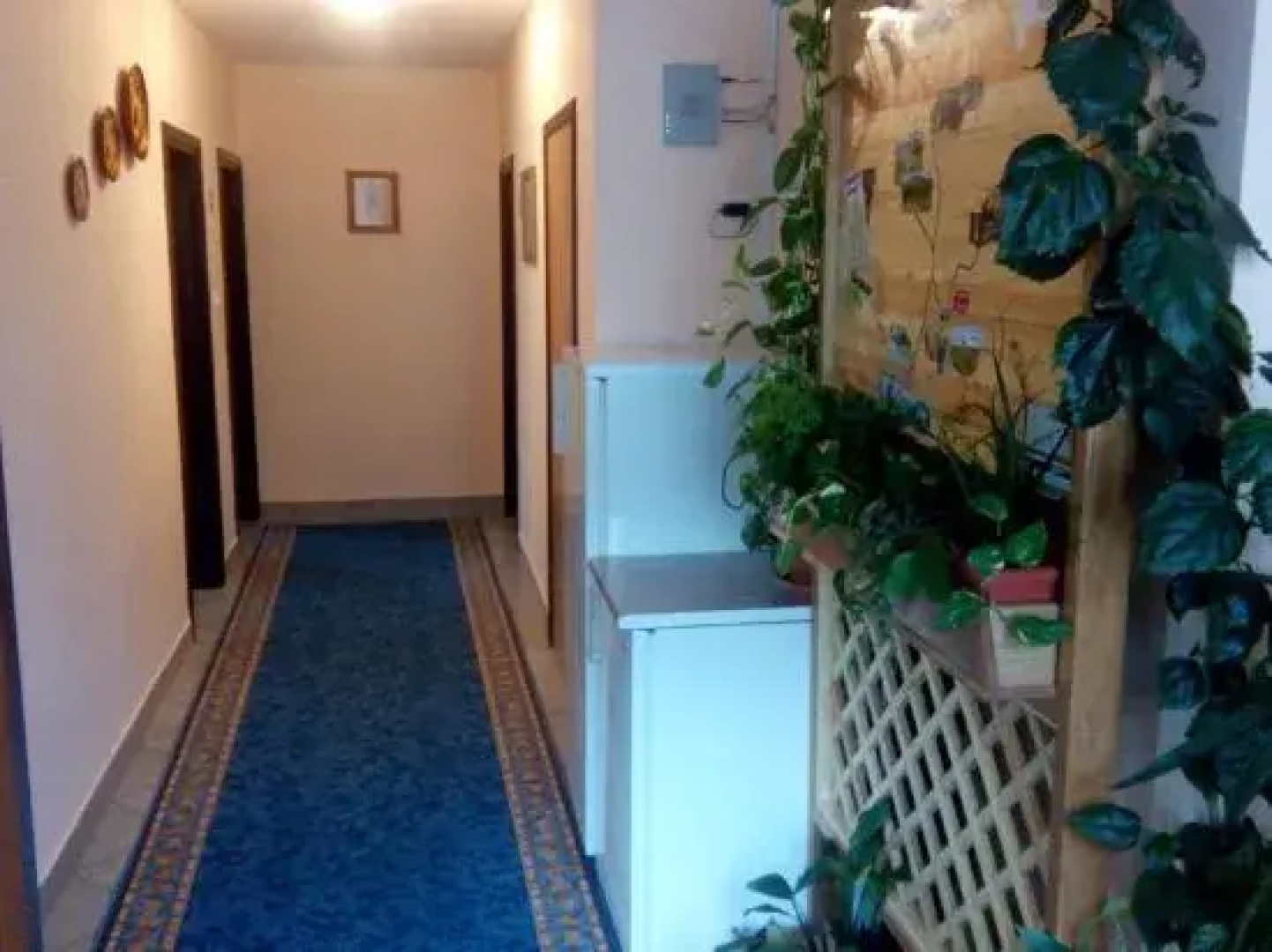 Guesthouse Pavličić