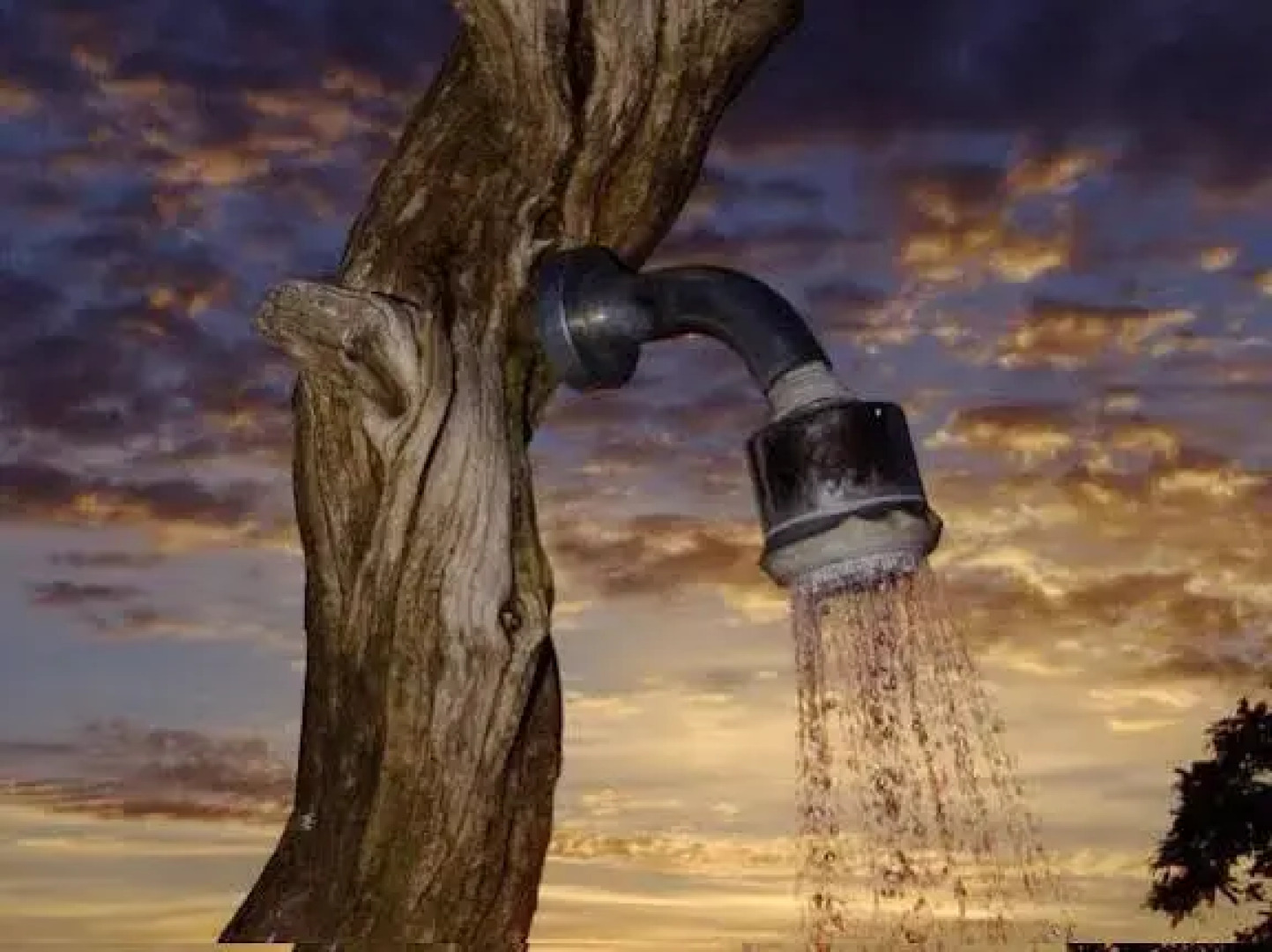 Infinity View Boutique Guesthouse