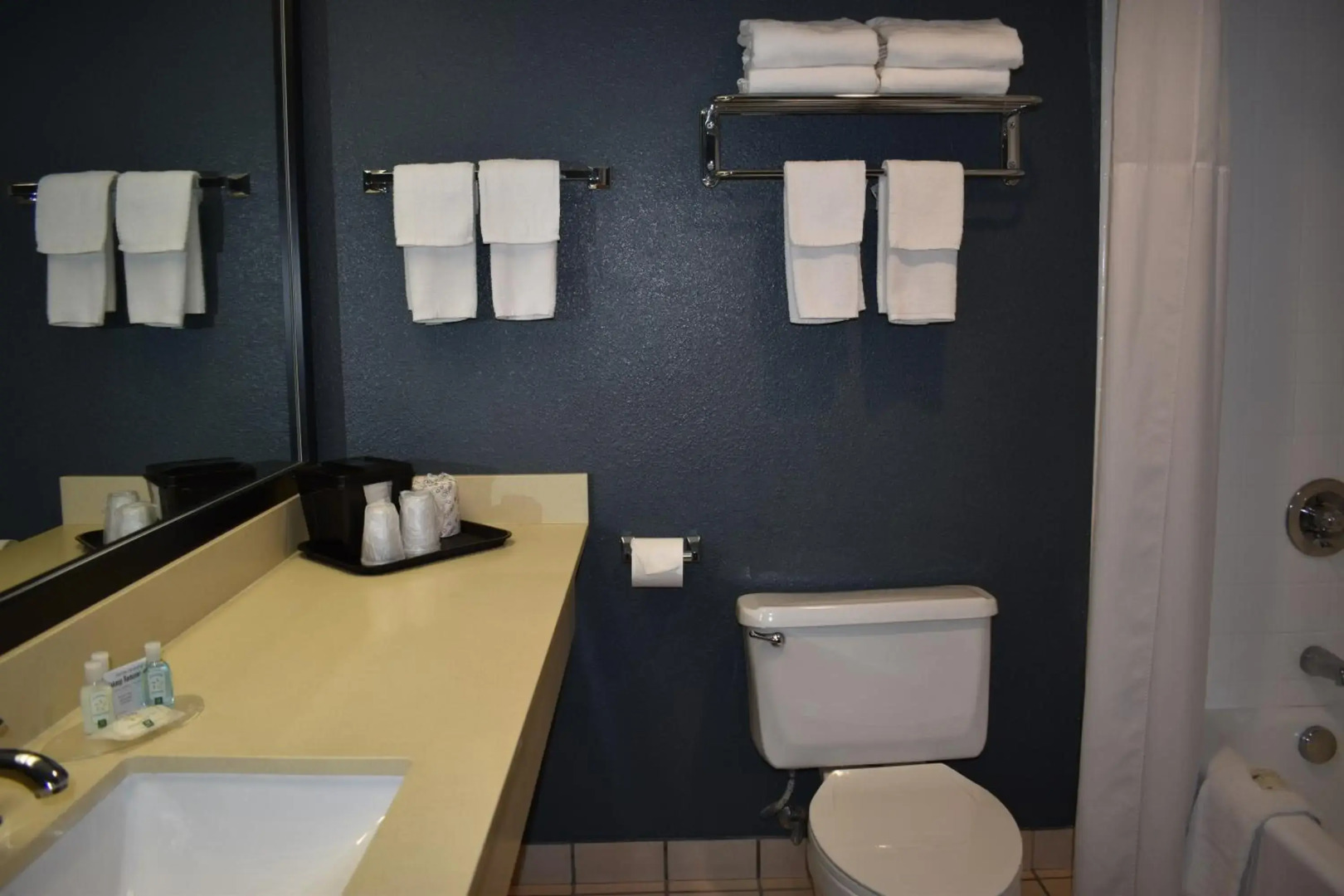 Quality Inn and Suites Garden of the Gods