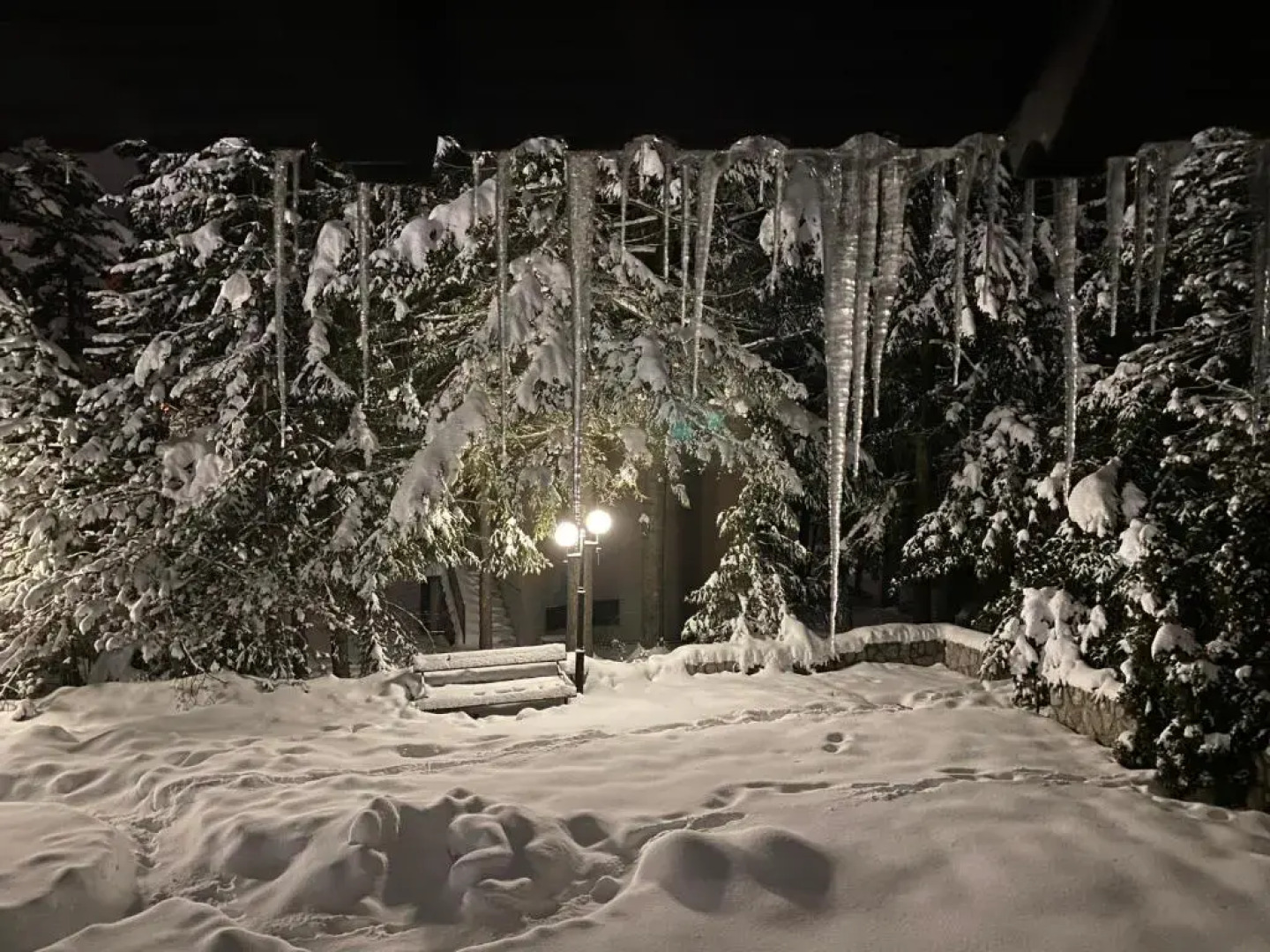 Casa Vostra Apartments