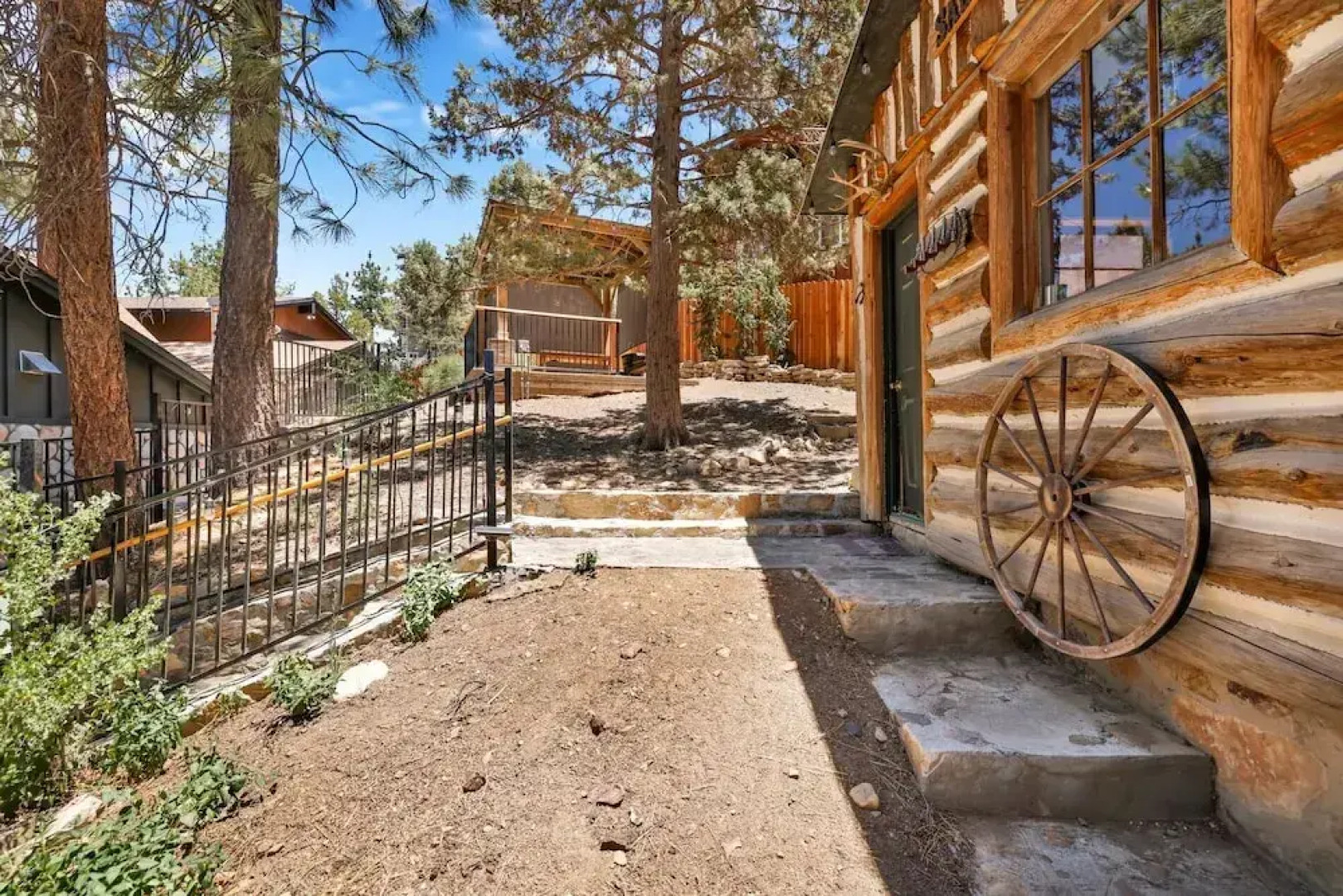 Polar Plunge BIG Bear #2031