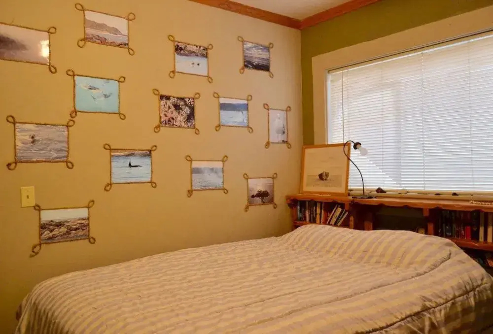 Eugene Whiteaker International Hostel