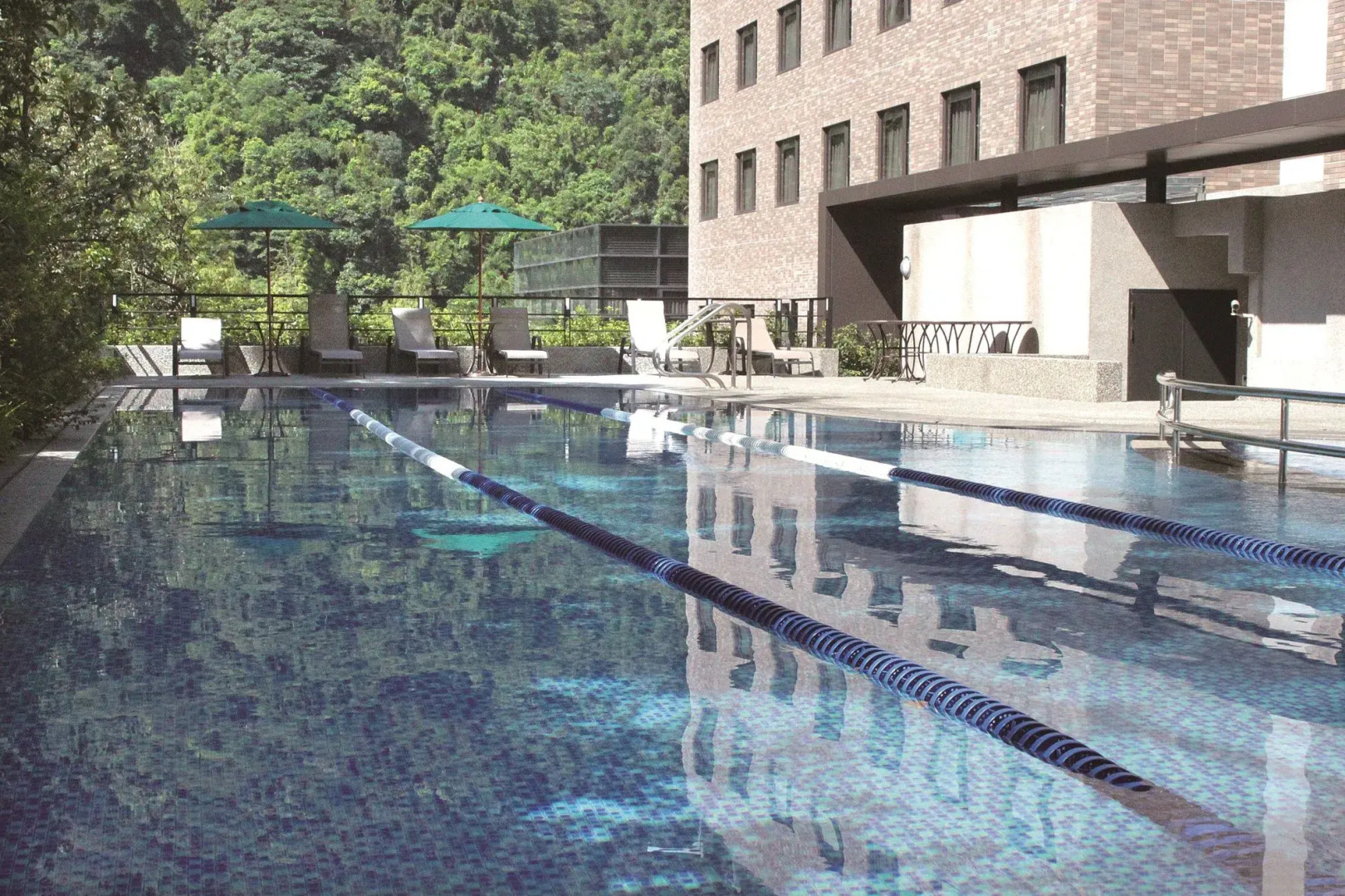 The Great Roots Forestry SPA Resort